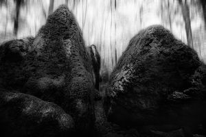 04 C W.Kleinoeder 2022 Stones Druidenhain 